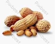ARACHIDE GRAIN